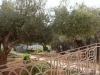 Файл=SDC10830.JPG
Объём=217KB
Размеры=1024x768
Дата=Нояб 05, 2012 SDC10830.JPG