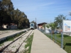 SDC11279.JPG