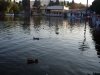 Файл=SDC11317.JPG
Объём=130KB
Размеры=1024x768
Дата=Дек 22, 2013 SDC11317.JPG