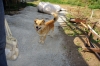 DSC03049.JPG