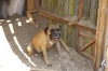 DSC03057_-_.JPG