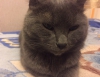 Файл=s0_A2gLIWaM.jpg
Объём=148KB
Размеры=960x741
Дата=Сент 04, 2017 s0_A2gLIWaM.jpg