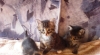 DSC01758.jpg