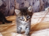 DSC01766.JPG