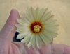 Файл=DSC00218.JPG
Объём=91KB
Размеры=600x472
Дата=Авг 10, 2014 DSC00218.JPG