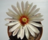 DSC03281.JPG
