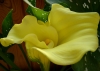 Файл=DSC03375.JPG
Объём=1183KB
Размеры=3250x2326
Дата=Авг 25, 2012 DSC03375.JPG