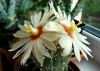 Файл=DSC03978.JPG
Объём=1540KB
Размеры=2992x2133
Дата=Авг 20, 2012 DSC03978.JPG