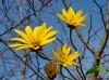 Файл=DSC04862.JPG
Объём=1839KB
Размеры=3140x2326
Дата=Нояб 18, 2012 DSC04862.JPG