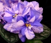 DSC05186.JPG