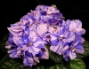 DSC05191.JPG