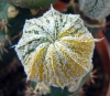 DSC06173.JPG