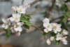 Файл=DSC_0193.JPG
Объём=174KB
Размеры=890x600
Дата=Июнь 16, 2013 DSC_0193.JPG