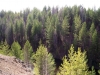 Файл=100_0485.JPG
Объём=202KB
Размеры=1024x768
Дата=Апр 22, 2012 100_0485.JPG