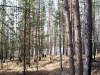Файл=100_0517.JPG
Объём=217KB
Размеры=1024x768
Дата=Май 07, 2012 100_0517.JPG