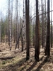 Файл=100_0518.JPG
Объём=218KB
Размеры=768x1024
Дата=Май 07, 2012 100_0518.JPG