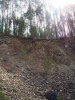 Файл=100_0546.JPG
Объём=202KB
Размеры=768x1024
Дата=Май 07, 2012 100_0546.JPG