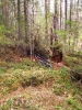 Файл=100_0556.JPG
Объём=238KB
Размеры=768x1024
Дата=Май 07, 2012 100_0556.JPG
