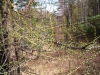 Файл=100_0603.JPG
Объём=243KB
Размеры=1024x768
Дата=Май 13, 2012 100_0603.JPG