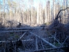 Файл=100_0619.JPG
Объём=172KB
Размеры=1024x768
Дата=Май 25, 2012 100_0619.JPG