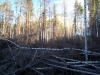 Файл=100_0620.JPG
Объём=165KB
Размеры=1024x768
Дата=Май 25, 2012 100_0620.JPG