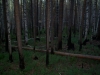 Файл=100_0622.JPG
Объём=132KB
Размеры=1024x768
Дата=Май 25, 2012 100_0622.JPG