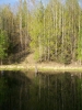 Файл=100_0636.JPG
Объём=176KB
Размеры=768x1024
Дата=Май 28, 2012 100_0636.JPG