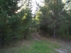 100_0660.JPG