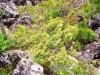 100_0675.JPG
