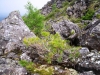 Файл=100_0676.JPG
Объём=228KB
Размеры=1024x768
Дата=Июнь 15, 2012 100_0676.JPG