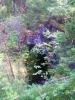 Файл=100_0744.JPG
Объём=224KB
Размеры=768x1024
Дата=Июль 02, 2012 100_0744.JPG