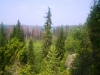 Файл=100_0746.JPG
Объём=155KB
Размеры=1024x768
Дата=Июль 02, 2012 100_0746.JPG