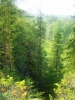 Файл=100_0748.JPG
Объём=192KB
Размеры=768x1024
Дата=Июль 02, 2012 100_0748.JPG