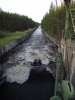 Файл=DSCF0136.JPG
Объём=120KB
Размеры=768x1024
Дата=Июнь 08, 2012 DSCF0136.JPG