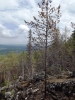 DSCF0154.JPG