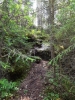 Файл=DSCF0218.JPG
Объём=319KB
Размеры=768x1024
Дата=Июнь 17, 2012 DSCF0218.JPG