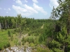 Файл=DSCF0220.JPG
Объём=200KB
Размеры=1024x768
Дата=Июнь 17, 2012 DSCF0220.JPG