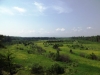 DSCF0223.JPG