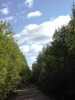 Файл=DSCF3268.JPG
Объём=127KB
Размеры=768x1024
Дата=Авг 11, 2012 DSCF3268.JPG