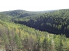 Файл=DSCF3313.JPG
Объём=154KB
Размеры=1024x768
Дата=Авг 11, 2012 DSCF3313.JPG