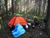 Файл=DSCF3340.JPG
Объём=205KB
Размеры=1024x768
Дата=Авг 11, 2012 DSCF3340.JPG