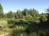 Файл=DSCF3344.JPG
Объём=213KB
Размеры=1024x768
Дата=Авг 11, 2012 DSCF3344.JPG