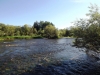 Файл=DSCF3347.JPG
Объём=179KB
Размеры=1024x768
Дата=Авг 11, 2012 DSCF3347.JPG
