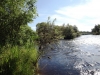 Файл=DSCF3353.JPG
Объём=213KB
Размеры=1024x768
Дата=Авг 11, 2012 DSCF3353.JPG