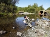 Файл=DSCF3423.JPG
Объём=247KB
Размеры=1024x768
Дата=Авг 29, 2012 DSCF3423.JPG