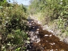 DSCF3430.JPG