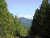 DSCF3446.JPG