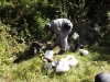 Файл=DSCF3448.JPG
Объём=274KB
Размеры=1024x768
Дата=Авг 29, 2012 DSCF3448.JPG