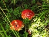 DSCF3458.JPG