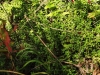 DSCF3461.JPG